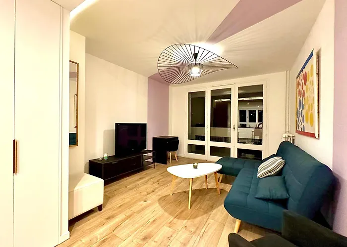 Appartement Refait A Neuf Centre Ville