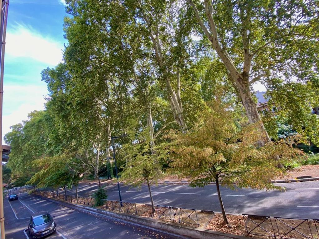 Apartment Refait A Neuf Centre Toulouse