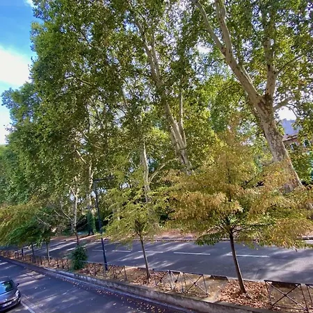 Appartement Refait A Neuf Centre Ville Toulouse Buitenkant foto